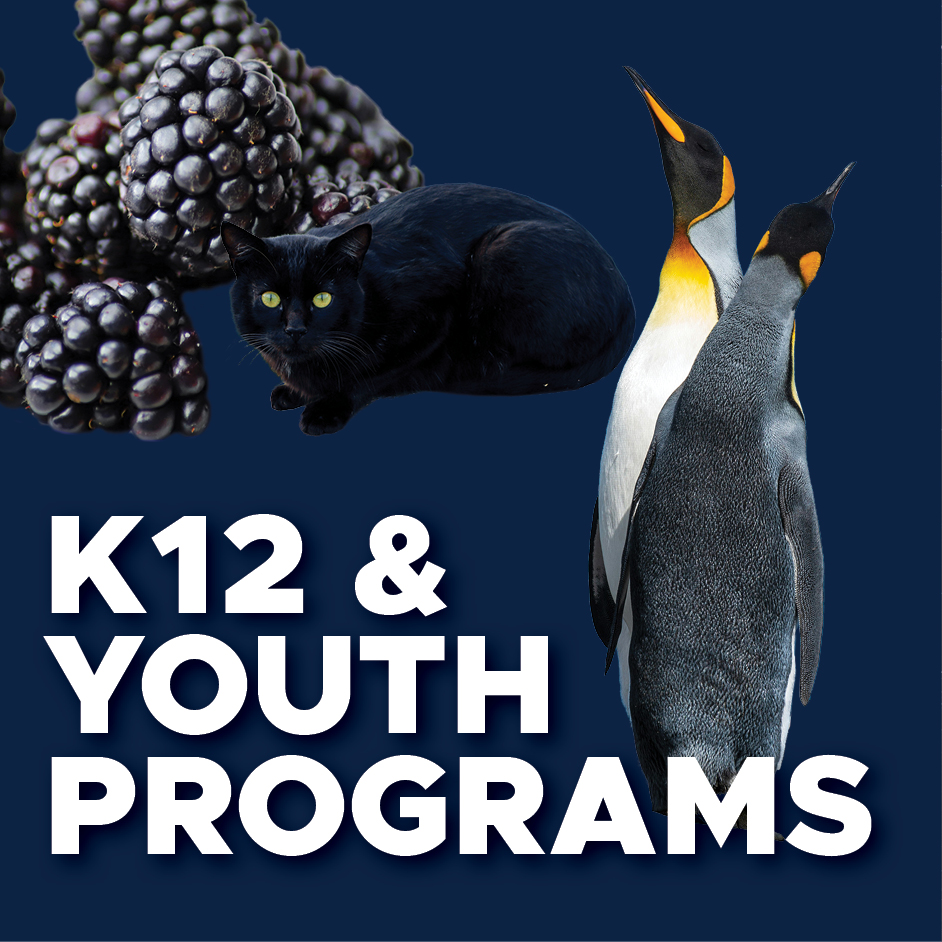 K12 and Youth Programs